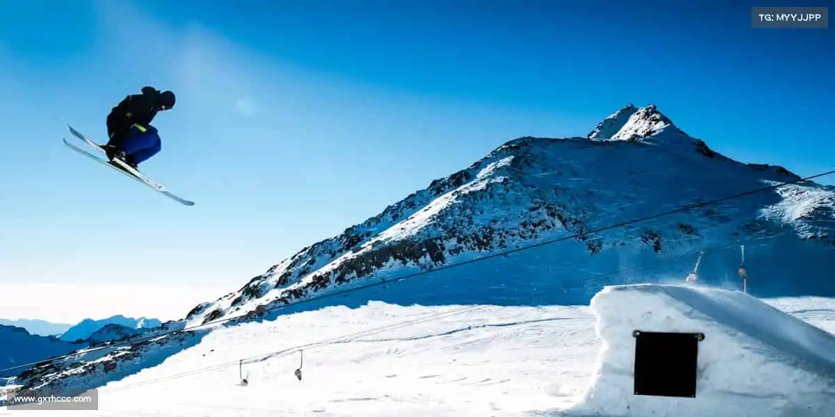 行业领先的理由